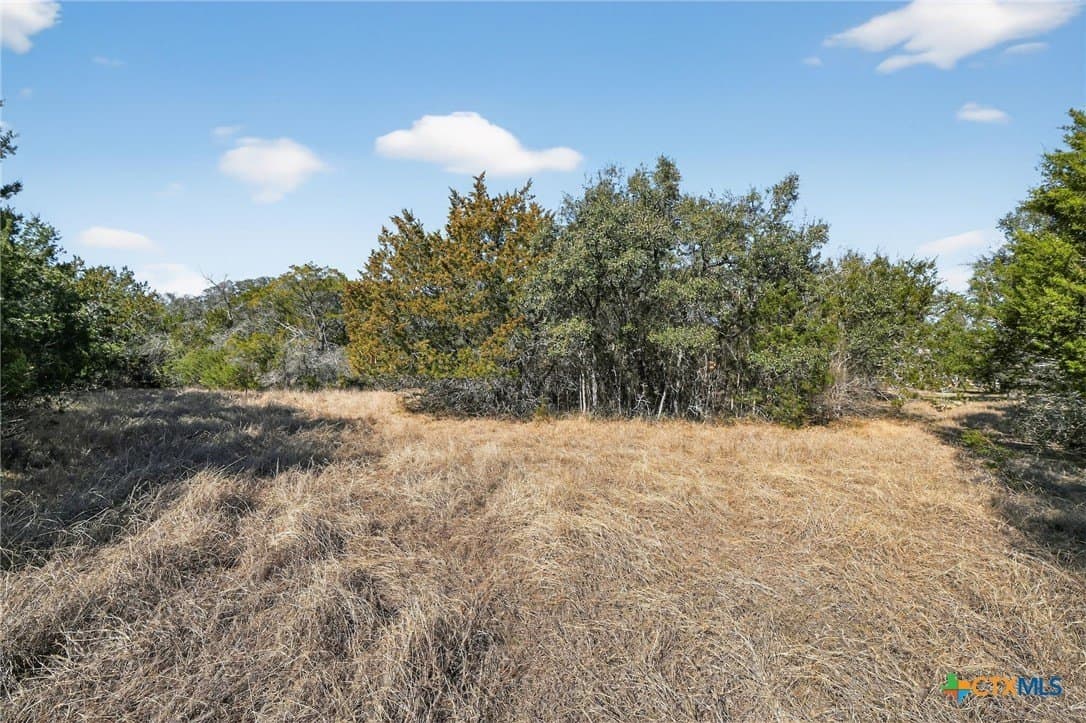 2.29 acres in Bell County - photo 8
