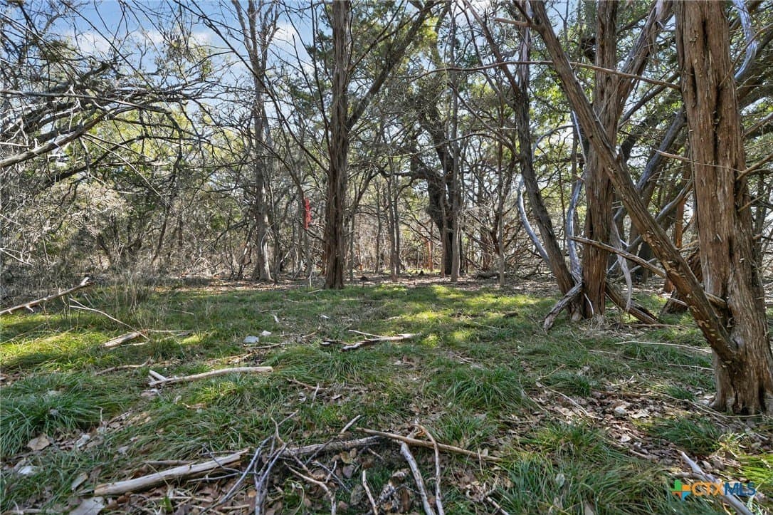 2.29 acres in Bell County - photo 2