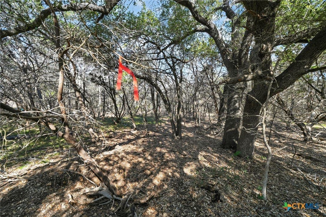 2.29 acres in Bell County - photo 12