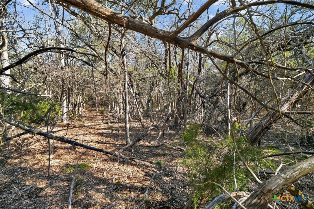 2.29 acres in Bell County - photo 11