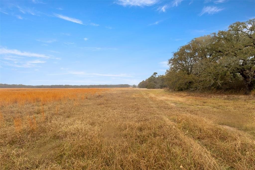 10.03 acres in Hunt County - photo 10