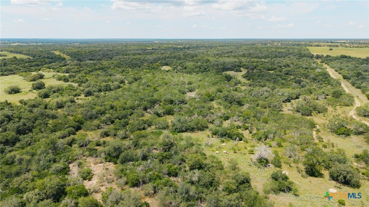 227.17 acres in Goliad County - photo 15