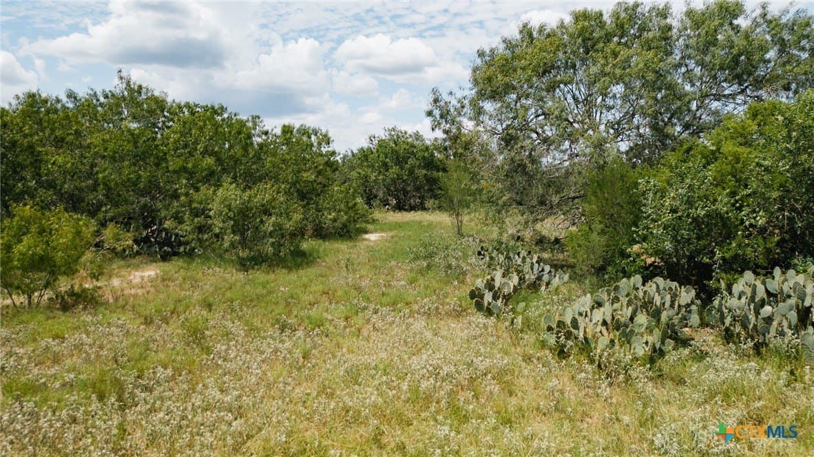 227.17 acres in Goliad County - photo 31