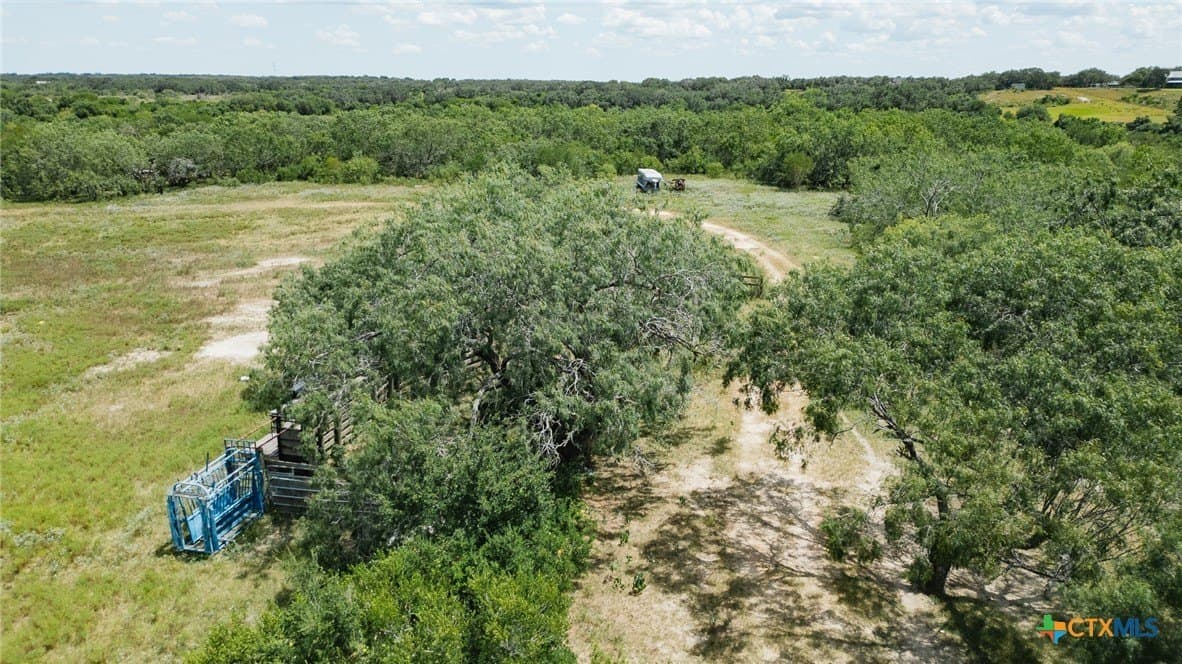 227.17 acres in Goliad County - photo 17