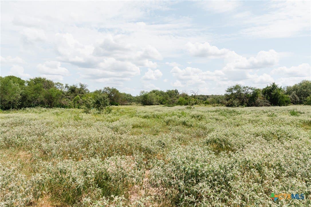 227.17 acres in Goliad County - photo 5