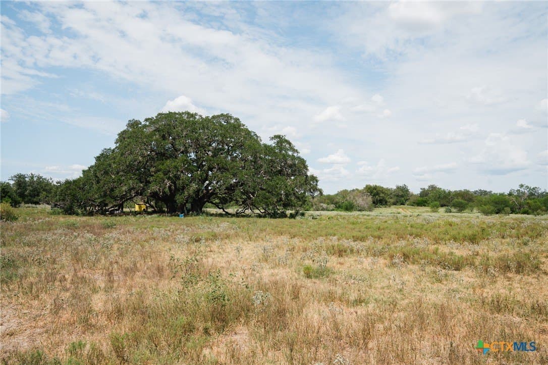 227.17 acres in Goliad County - photo 3