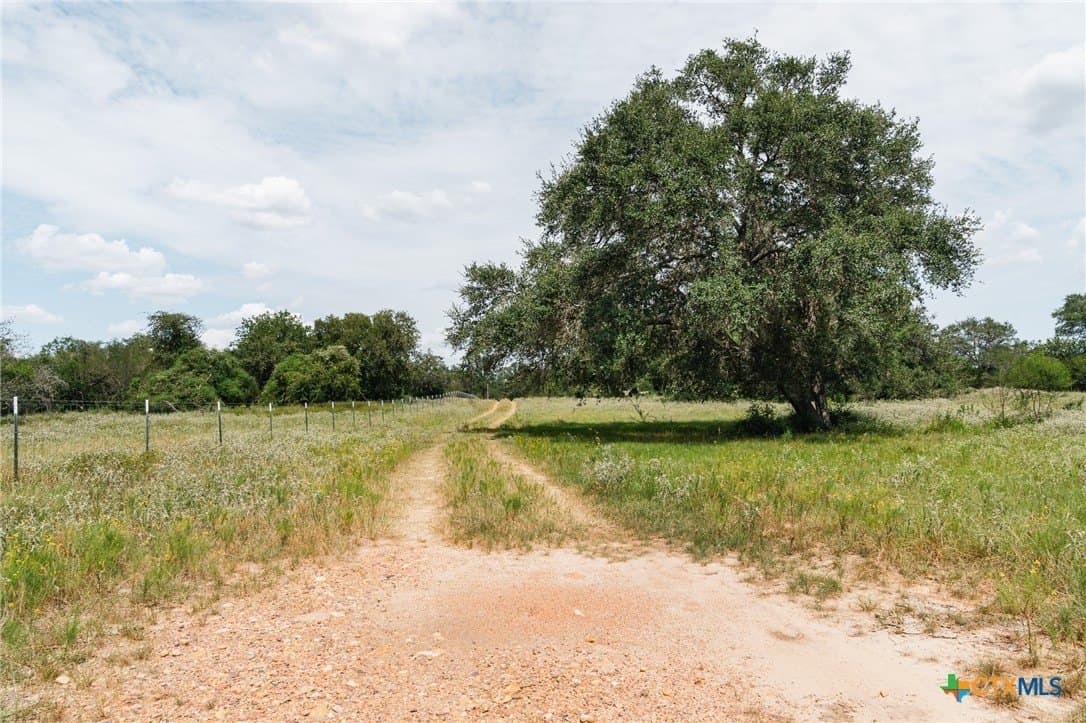 227.17 acres in Goliad County - photo 6