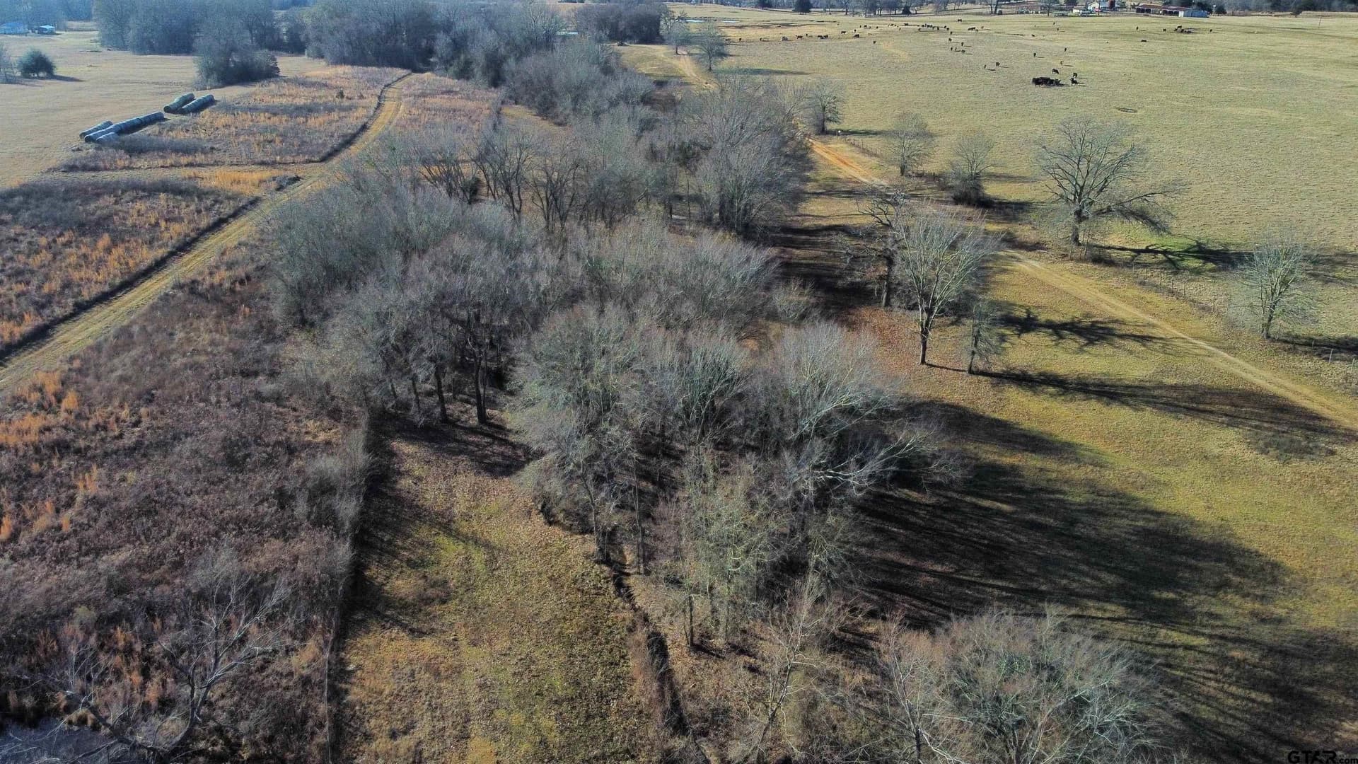 18.72 acres in Henderson County - photo 3