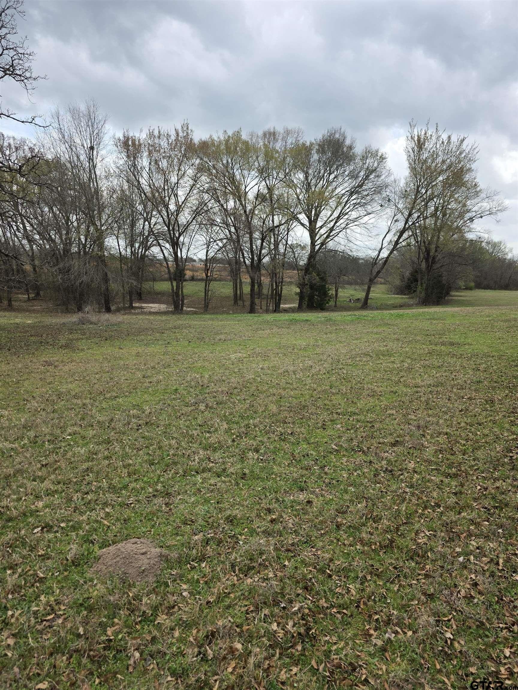 18.72 acres in Henderson County - photo 22
