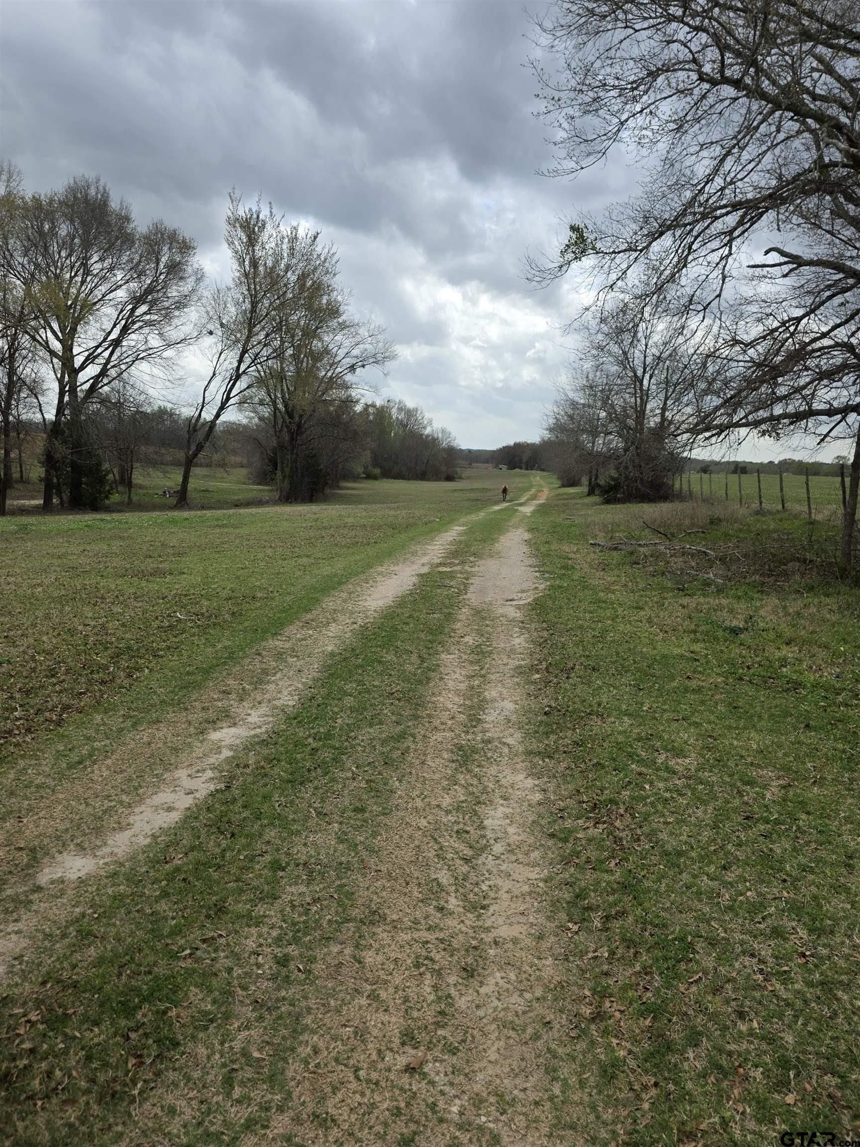 18.72 acres in Henderson County - photo 23