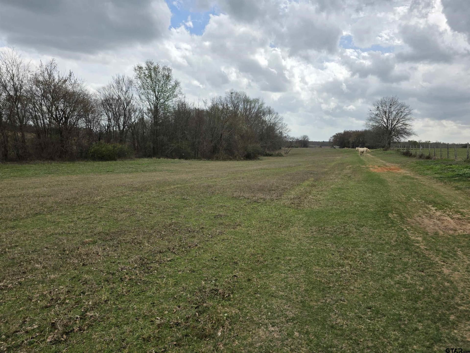 18.72 acres in Henderson County - photo 25