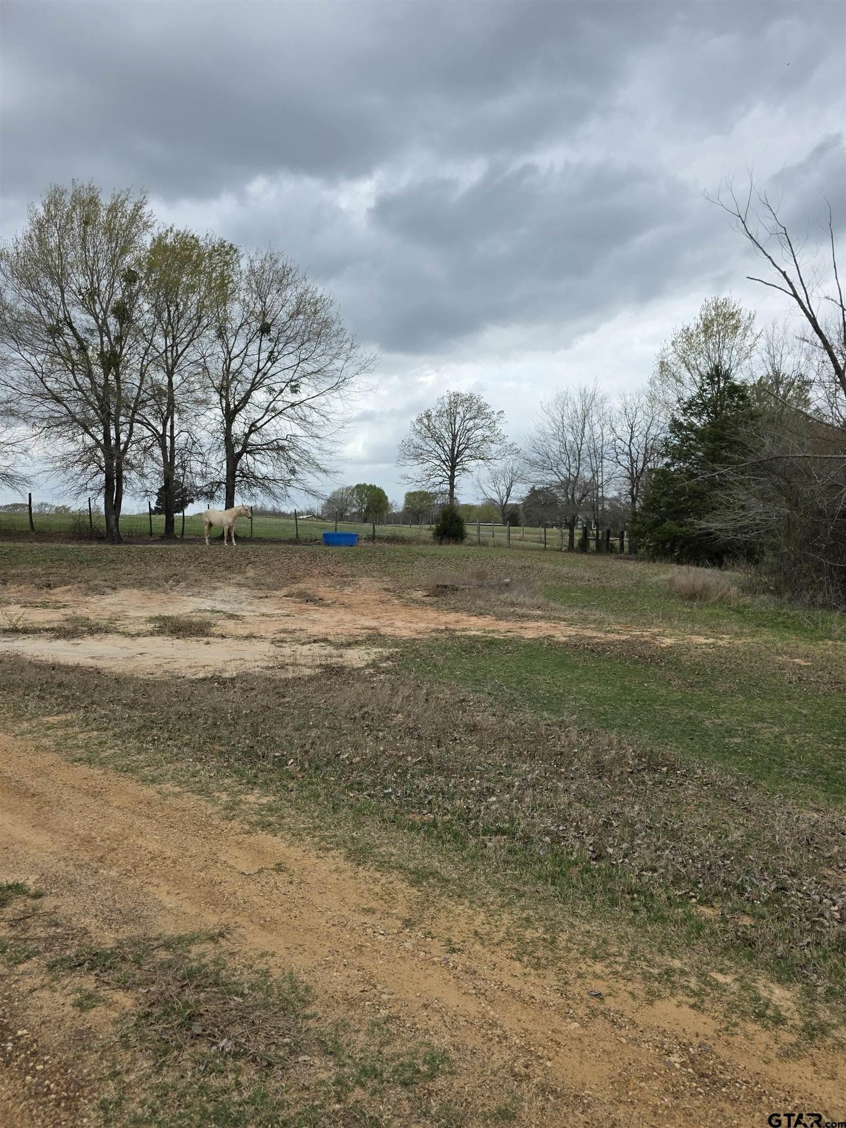18.72 acres in Henderson County - photo 19