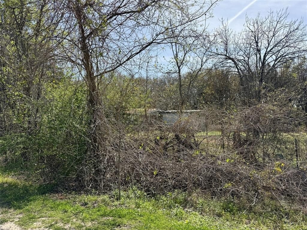2 acres in Kaufman County - photo 4