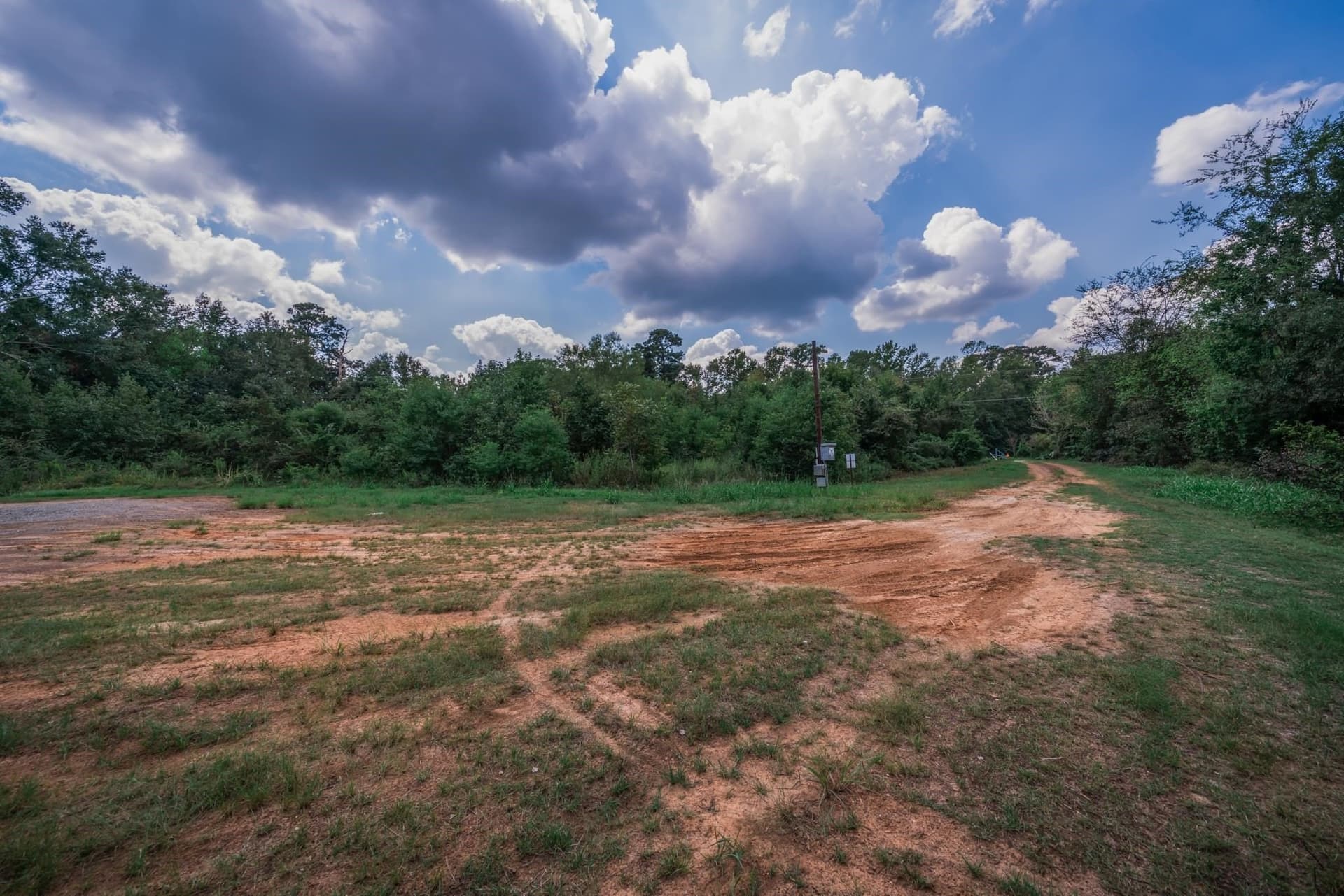 43.88 acres in Panola County - photo 8