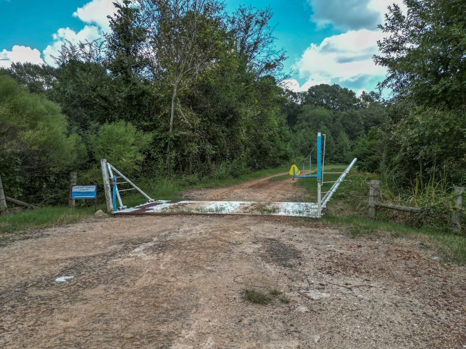 43.88 acres in Panola County - photo 5