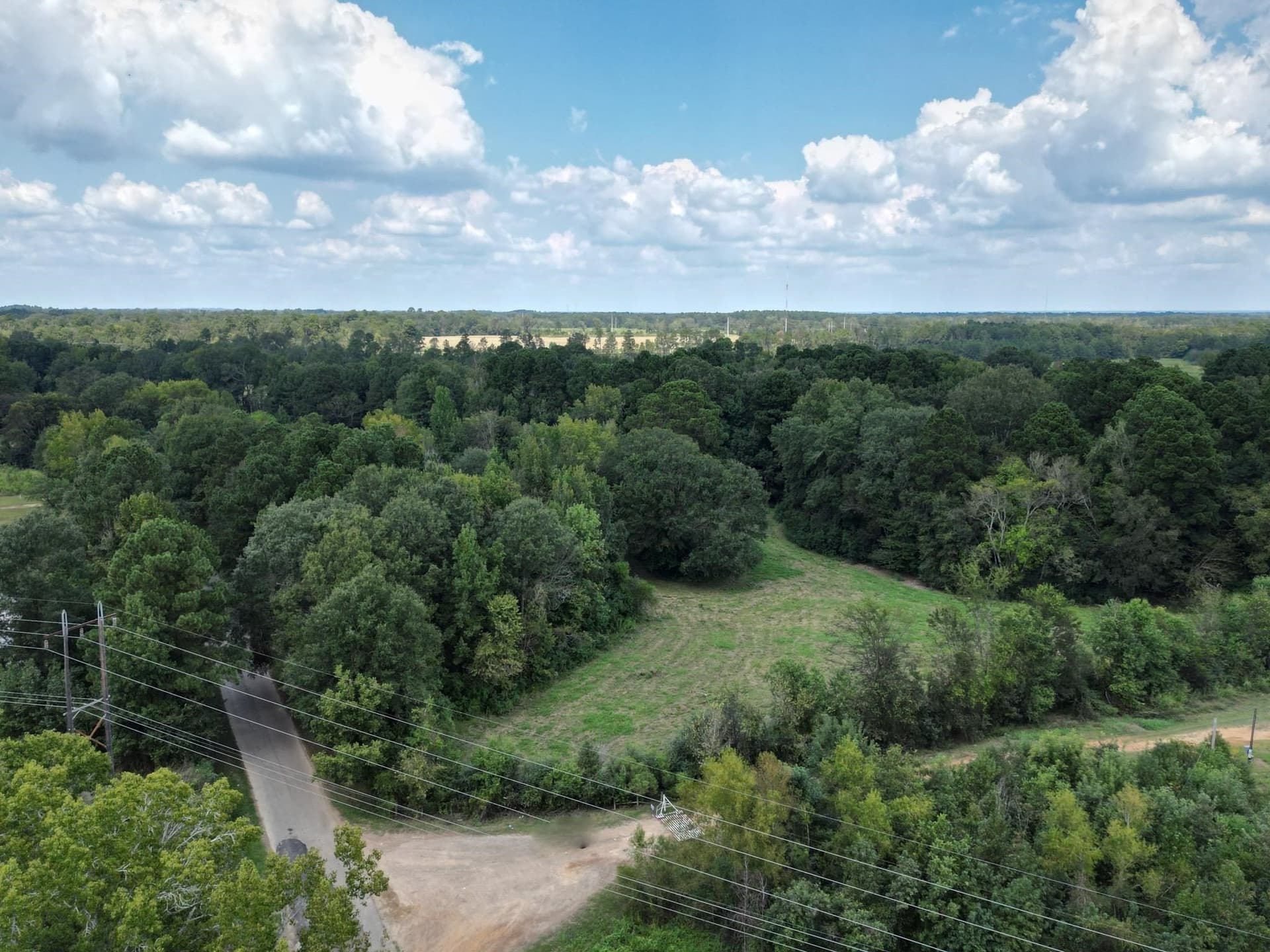 43.88 acres in Panola County - photo 2