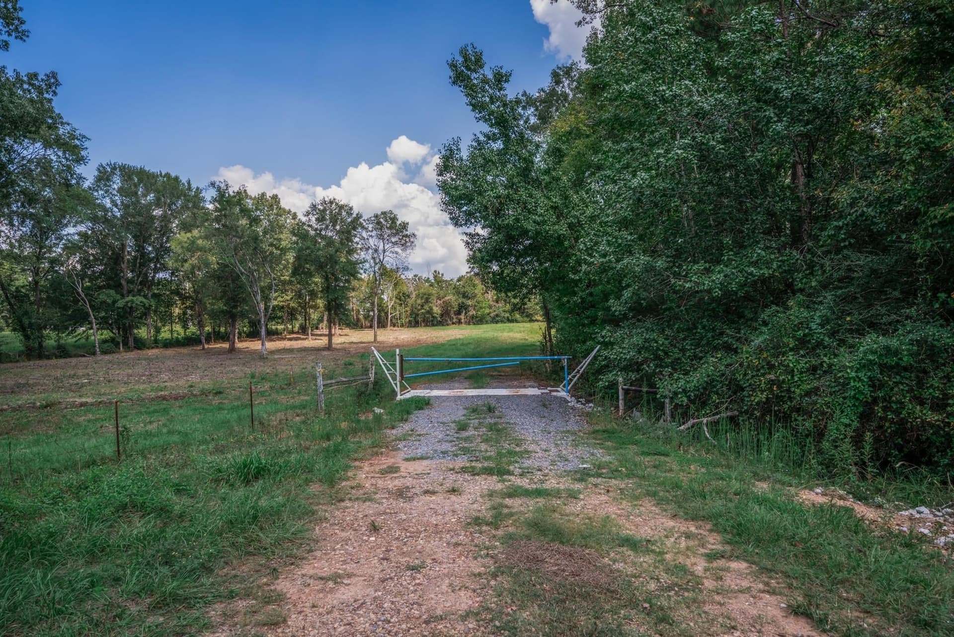 43.88 acres in Panola County - photo 12