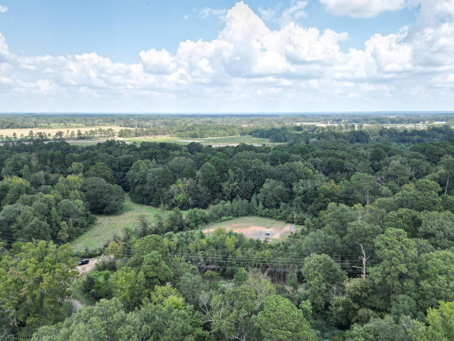 43.88 acres in Panola County - photo 6