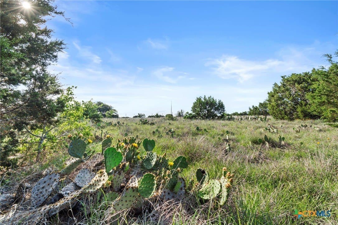 10 acres in Texas County - photo 18