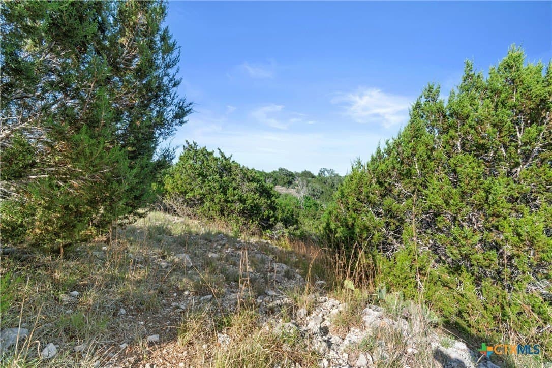 10 acres in Texas County - photo 14