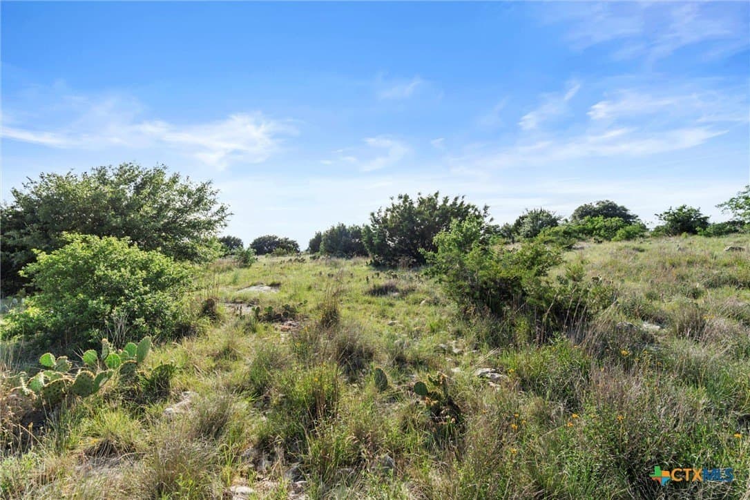 10 acres in Texas County - photo 19