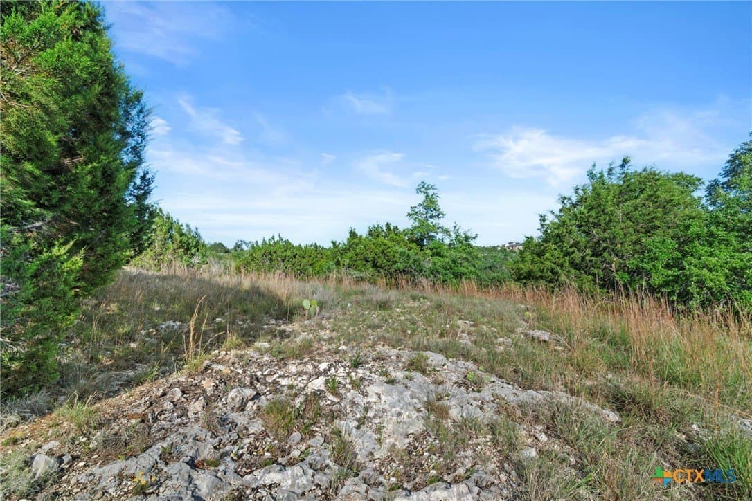 10 acres in Texas County - photo 16