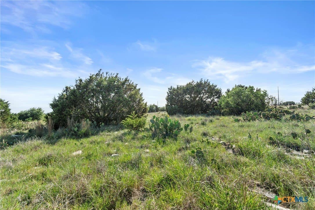 10 acres in Texas County - photo 5