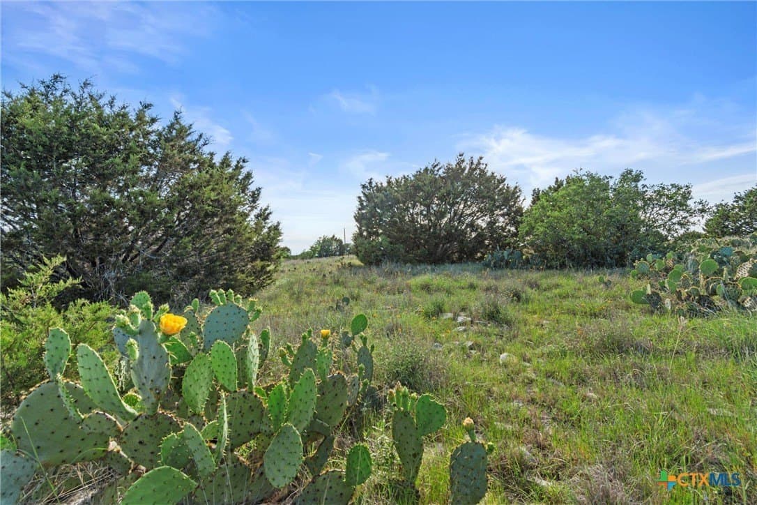 10 acres in Texas County - photo 13