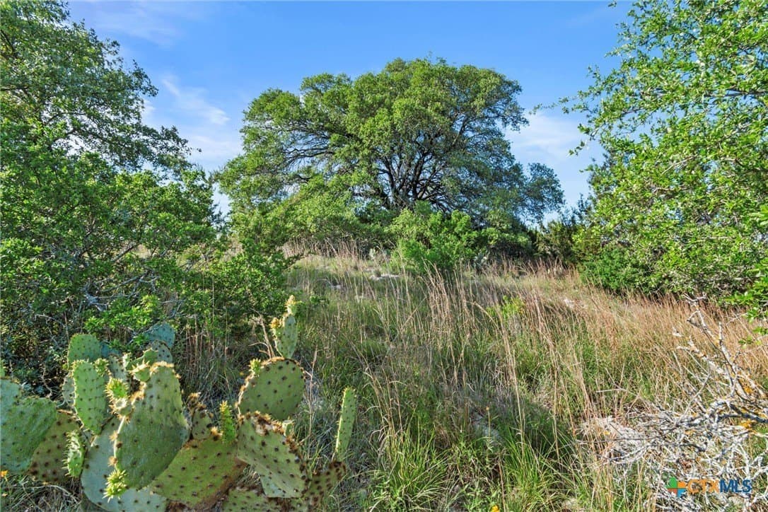 10 acres in Texas County - photo 17
