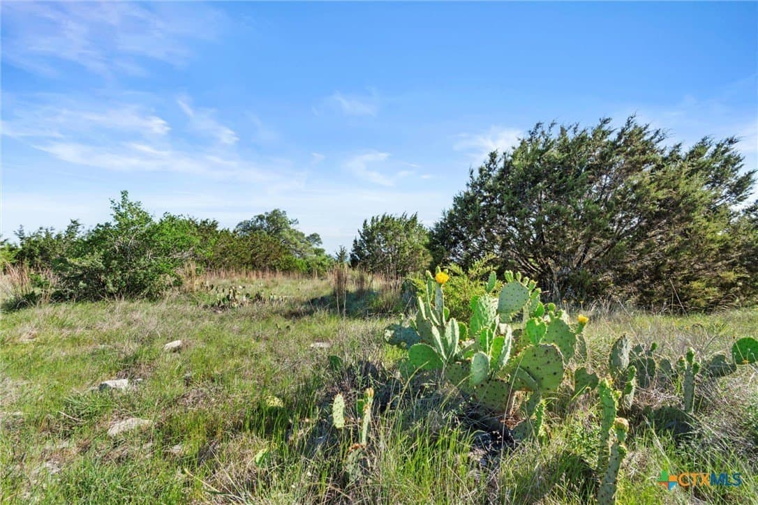 10 acres in Texas County - photo 3