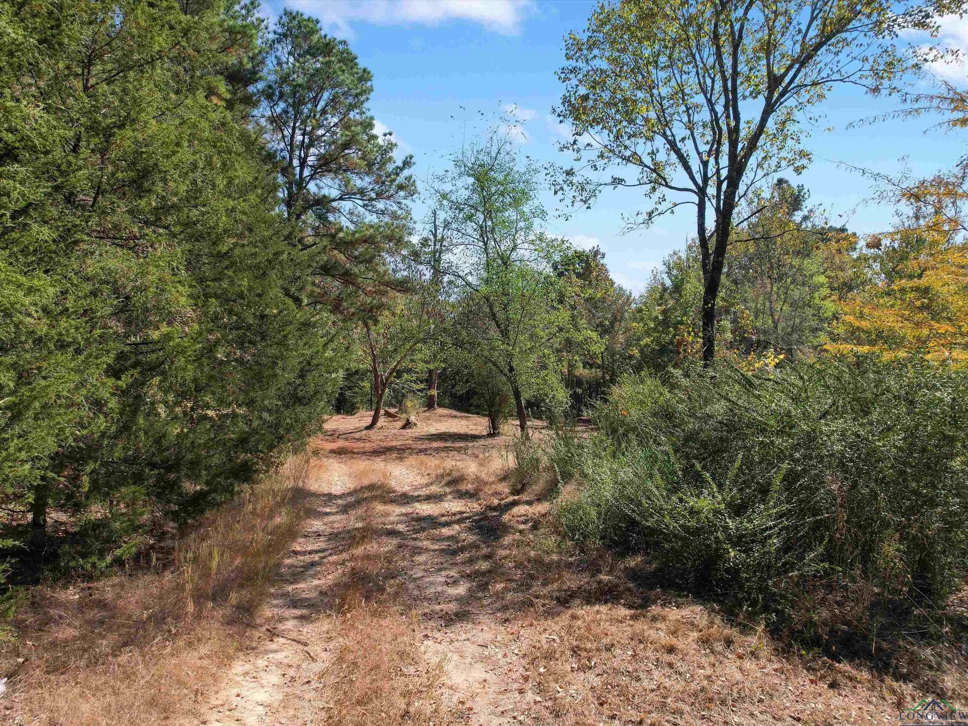 12.8 acres in Upshur County - photo 10