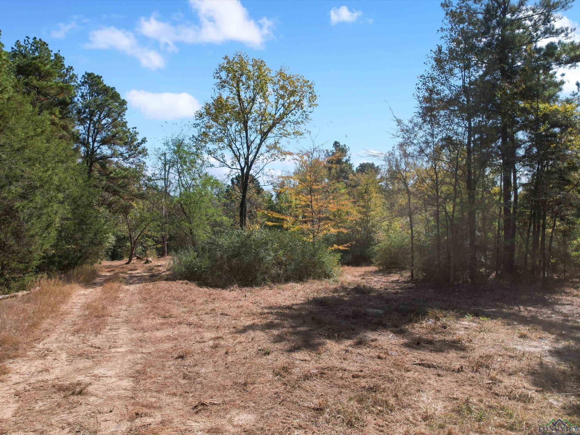 12.8 acres in Upshur County - photo 4