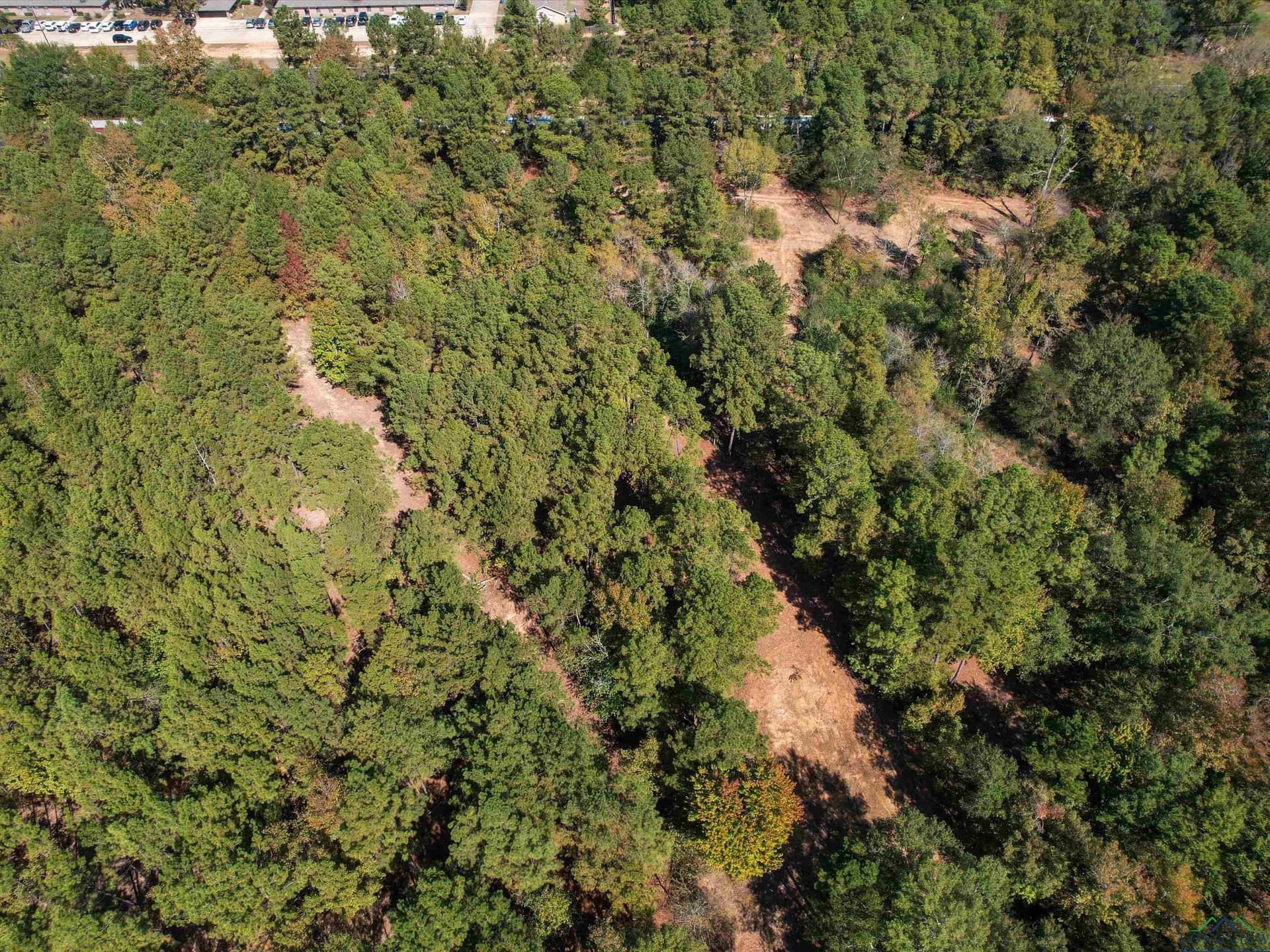 12.8 acres in Upshur County - photo 3