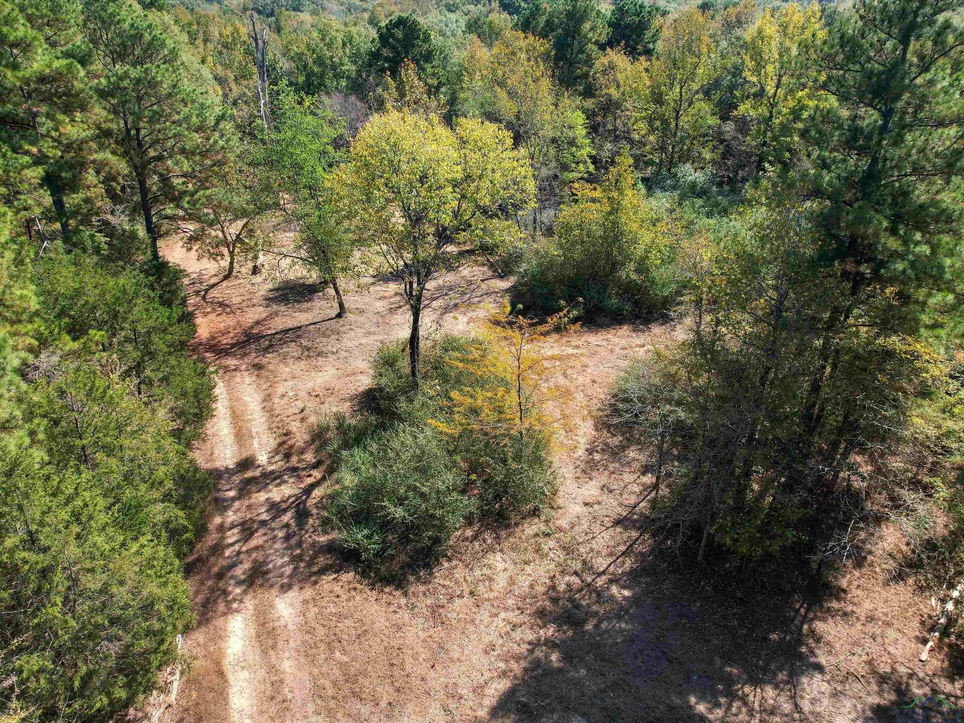 12.8 acres in Upshur County - photo 5