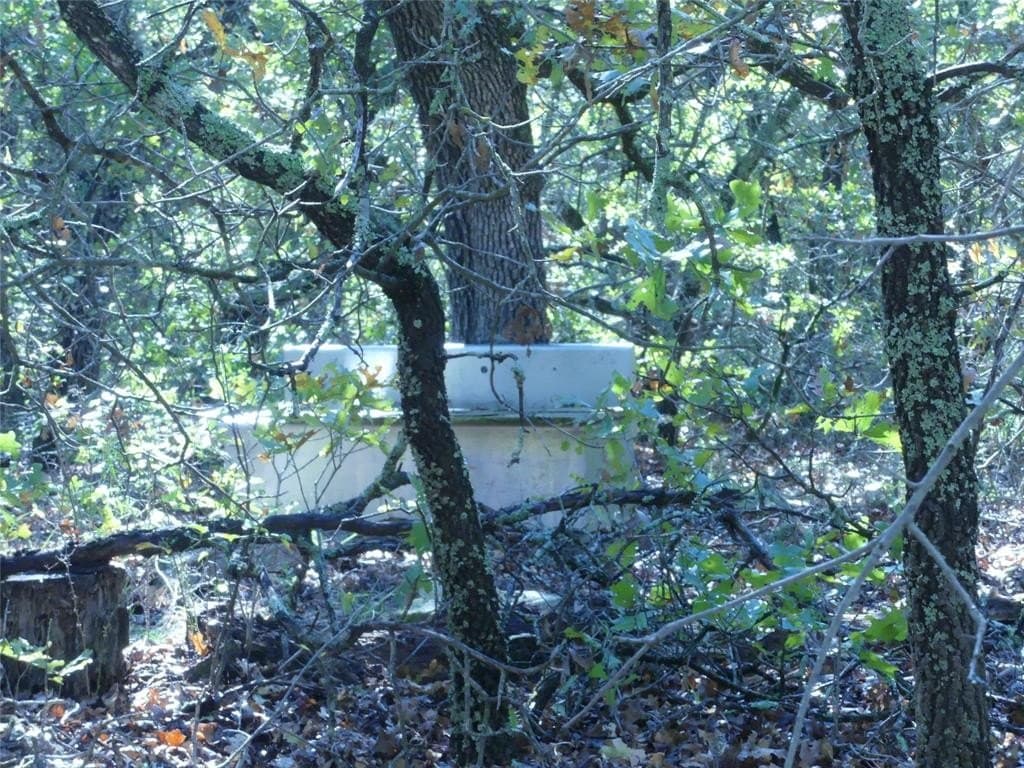 11.85 acres in Montague County - photo 21