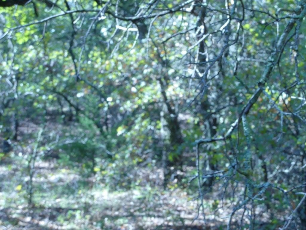 11.85 acres in Montague County - photo 17