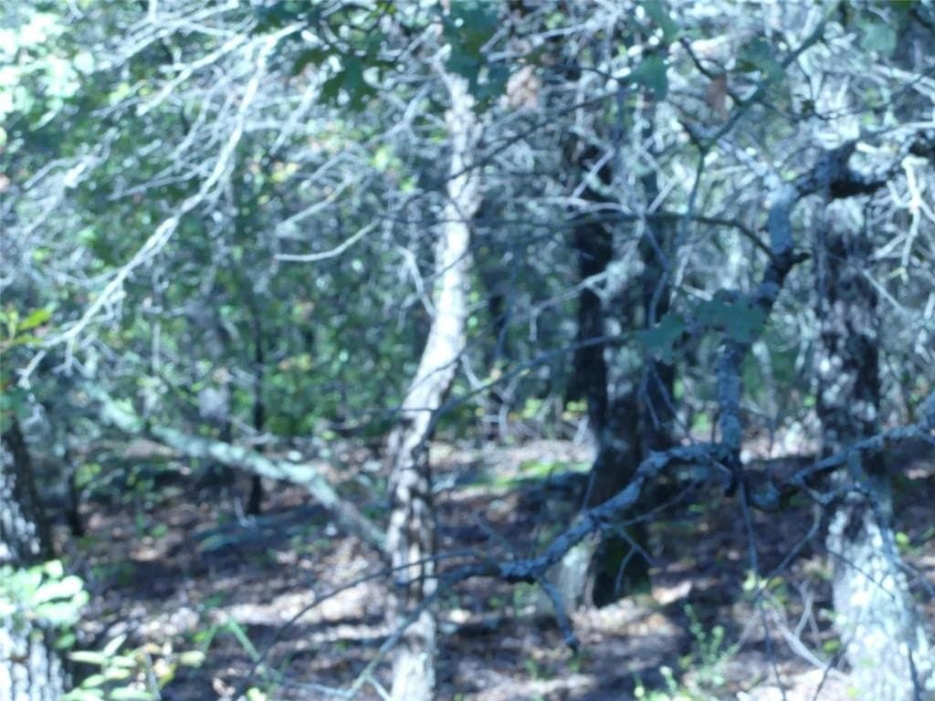 11.85 acres in Montague County - photo 18