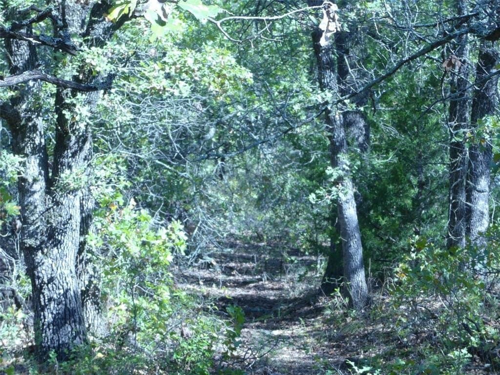 11.85 acres in Montague County - photo 26