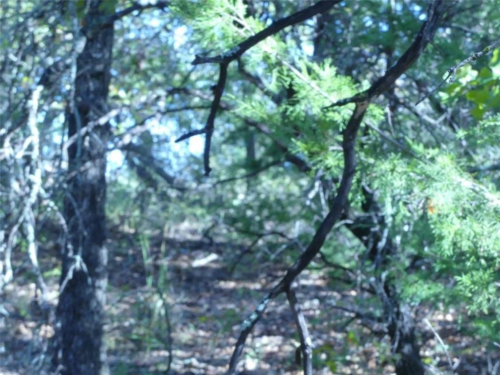 11.85 acres in Montague County - photo 14