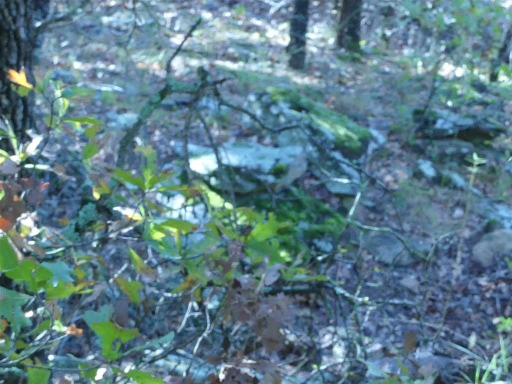 11.85 acres in Montague County - photo 20