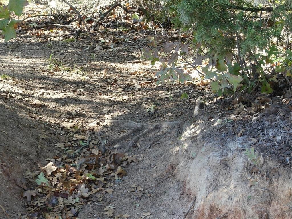 11.85 acres in Montague County - photo 4