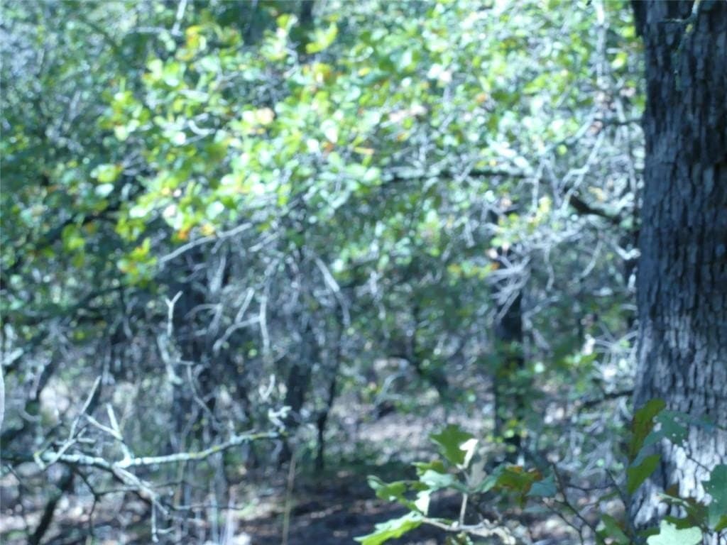 11.85 acres in Montague County - photo 15