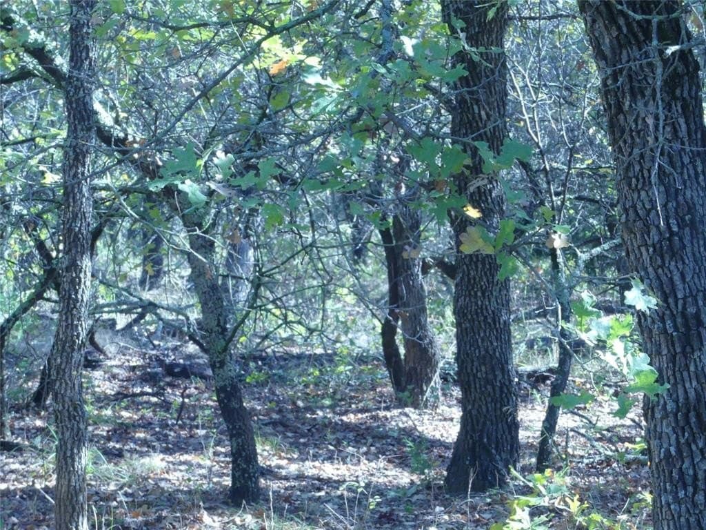 11.85 acres in Montague County - photo 25