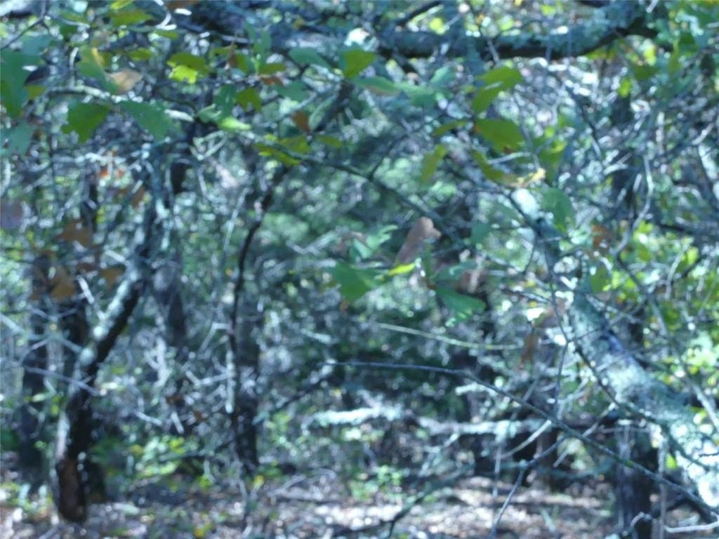 11.85 acres in Montague County - photo 19