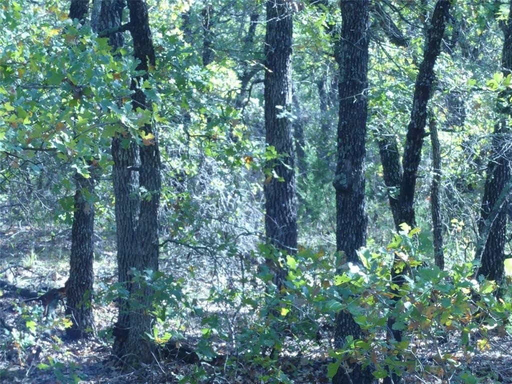 11.85 acres in Montague County - photo 24