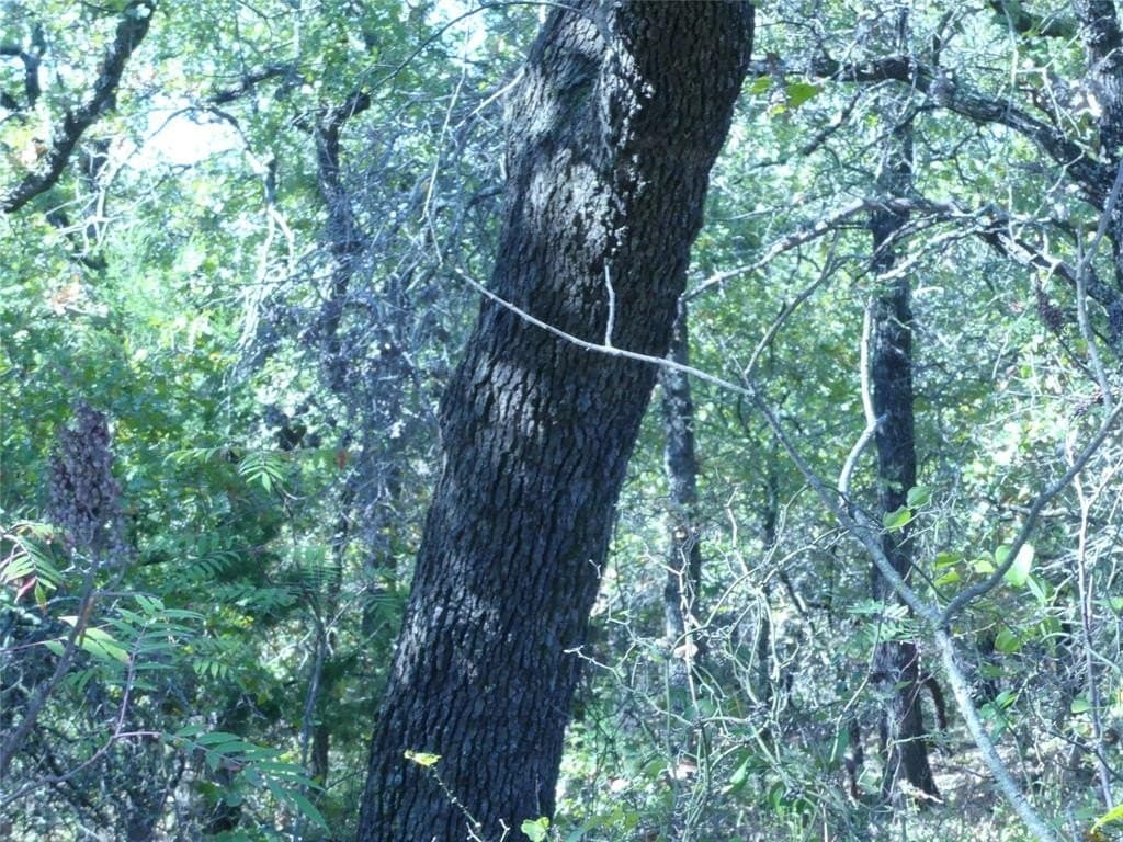 11.85 acres in Montague County - photo 28