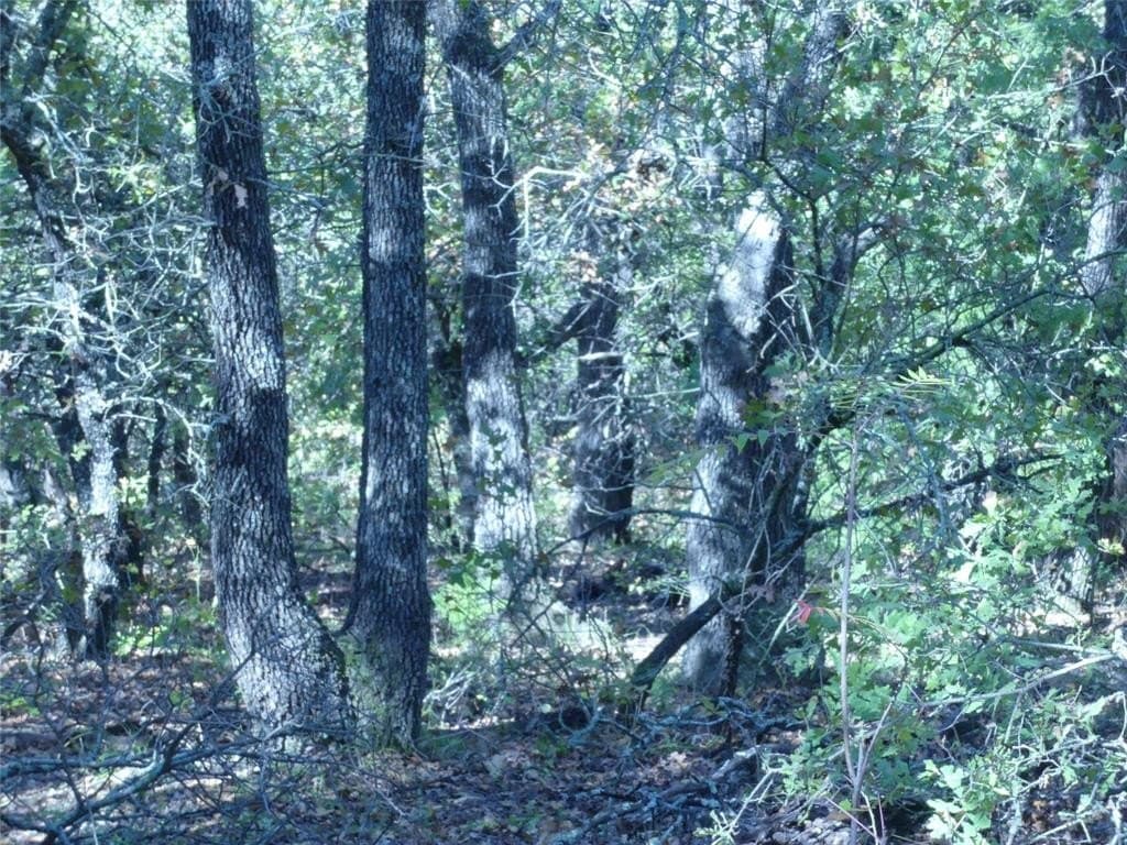 11.85 acres in Montague County - photo 27