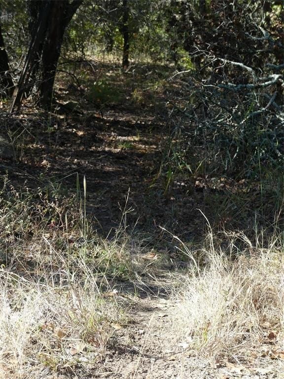 11.85 acres in Montague County - photo 7