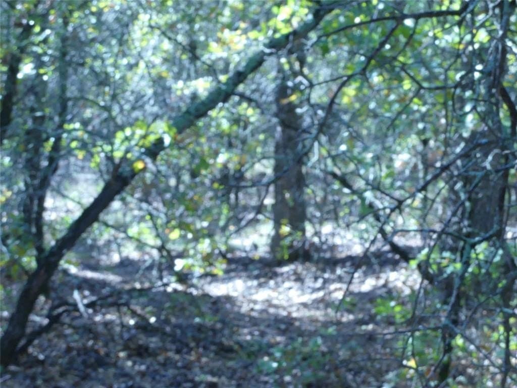 11.85 acres in Montague County - photo 13