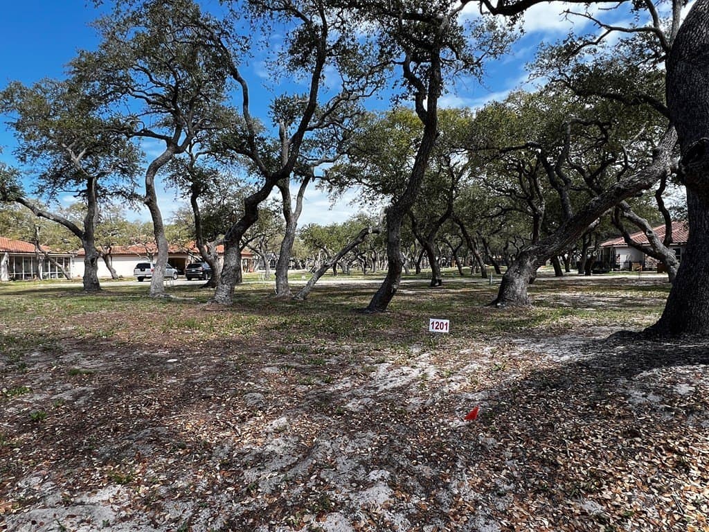 0 acres in Texas County - photo 2